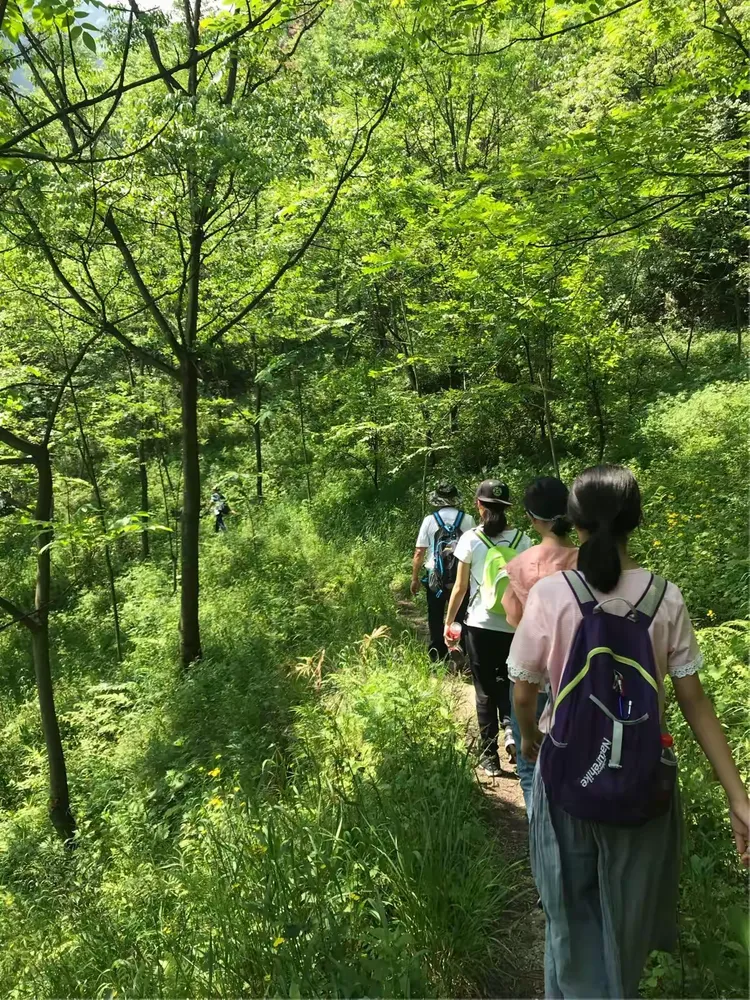 关于绿黑队伍在比赛中斩获胜利，一路领先的信息